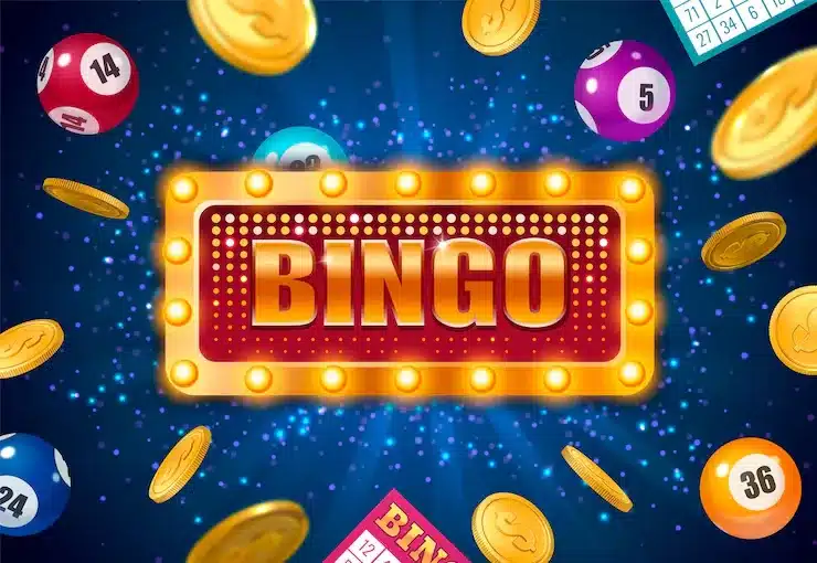 How to Play Online Bingo with 12BET India