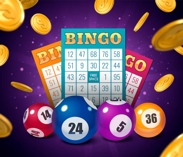 types of lottery games - bingo
