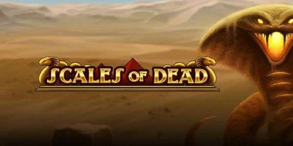scales of dead slot by play n go review